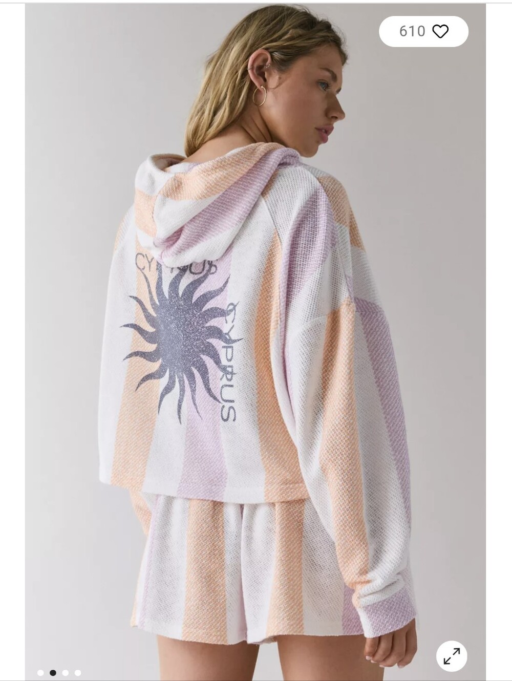 Urban Outfitter High Tide Oversized Crop Hoodie Sweatshirt